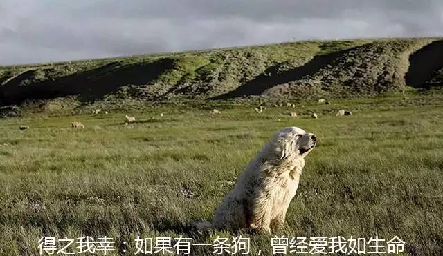 在墙壁上乱涂乱画的现象,为什么有些人喜欢在纸上乱涂乱画