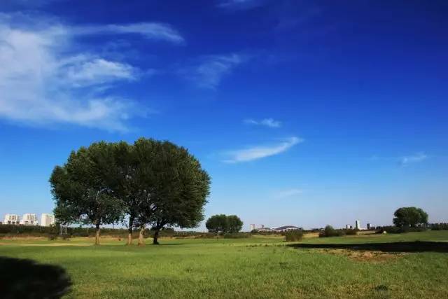 包头市8月份哪里好玩,包头8月活动