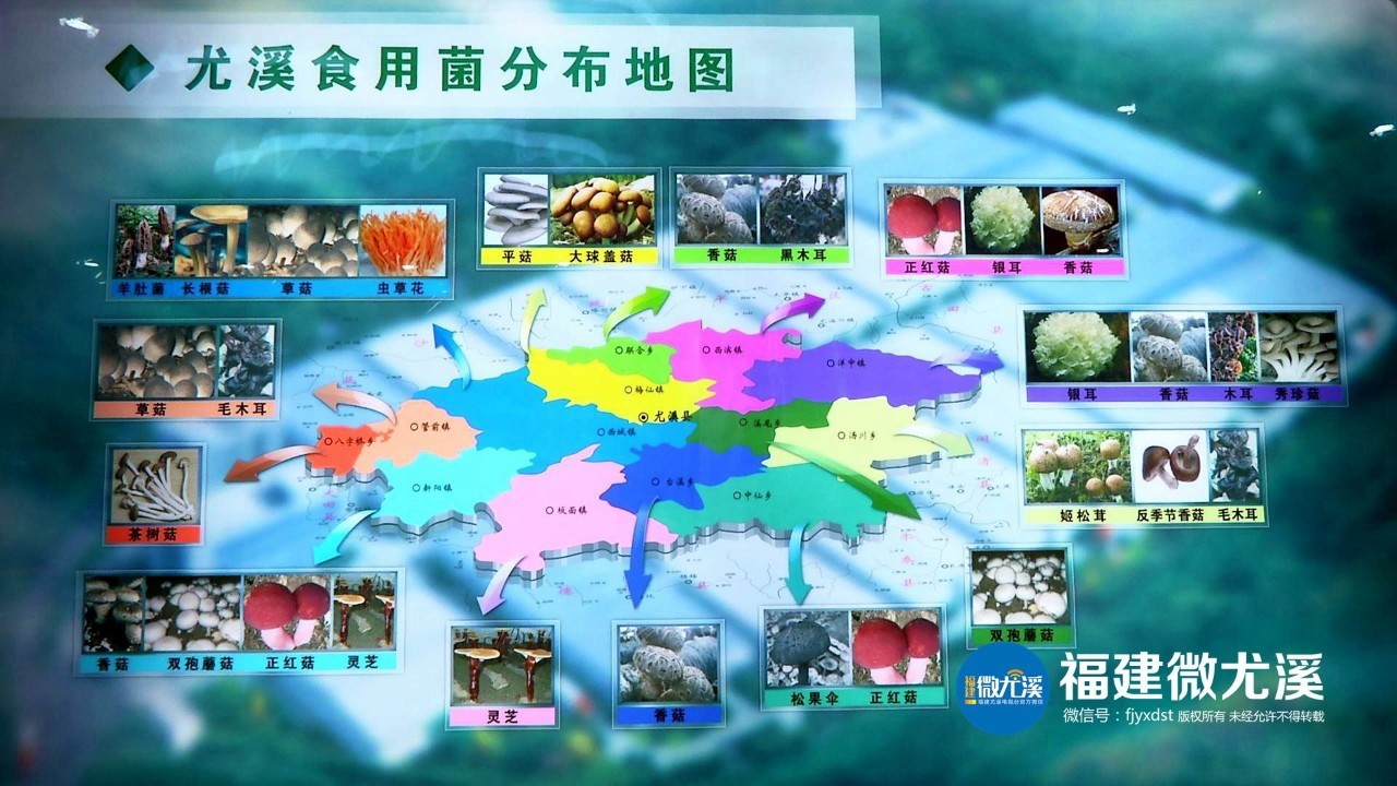 「厉害了」昨晚，尤溪洋中这场精彩的演出，超4万人在线观看！你有没有看？