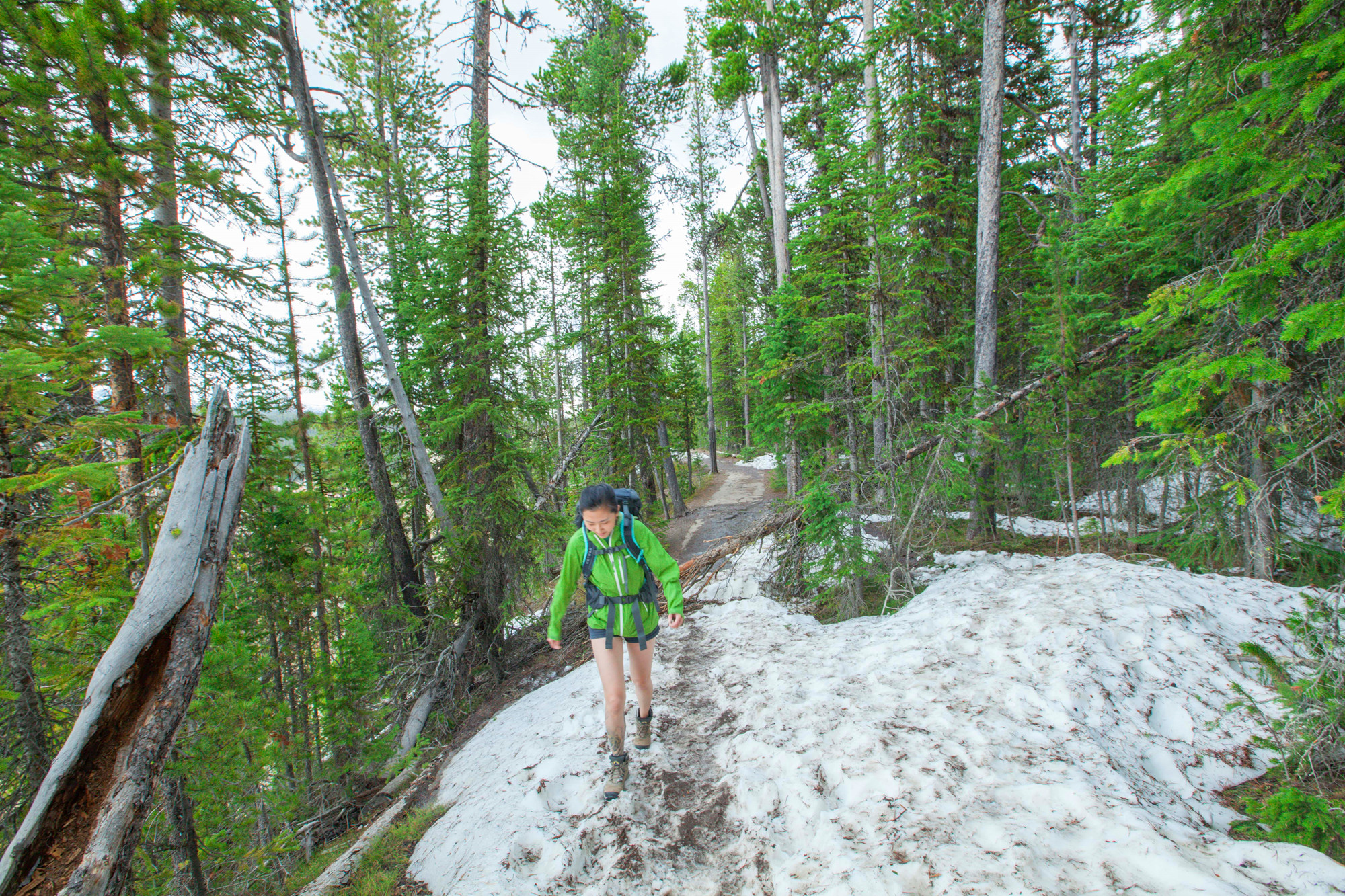老款鹞鹰58l登山包,鹞鹰登山包推荐