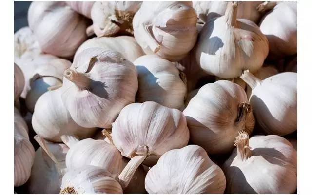 警惕身体4个衰老迹象 (正确的极速衰老的方法)