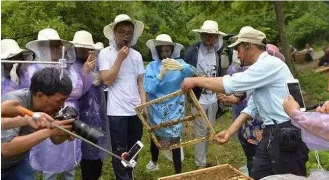 鍐滀紒杩愯惀鎬濊矾,鍐滀紒鐩存挱