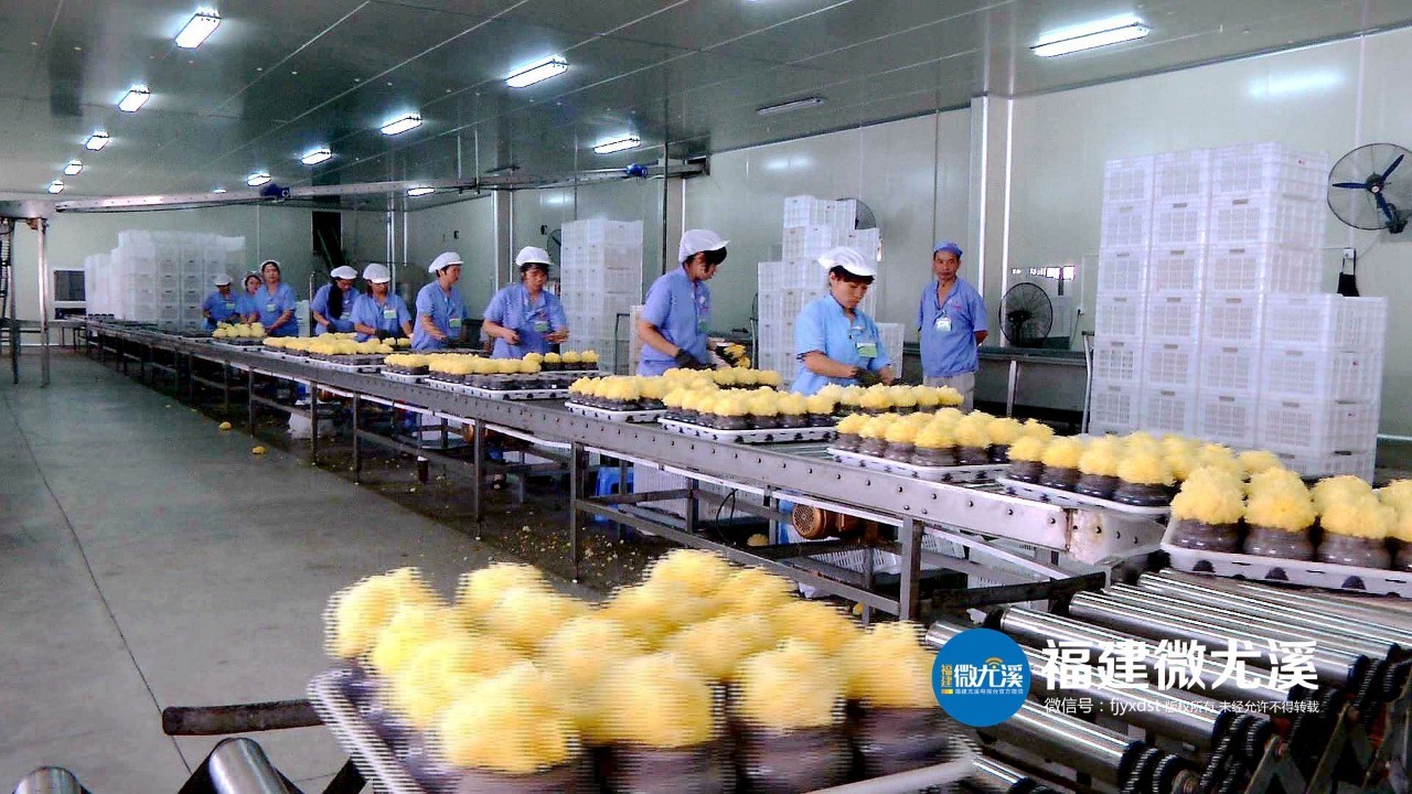 「厉害了」昨晚，尤溪洋中这场精彩的演出，超4万人在线观看！你有没有看？