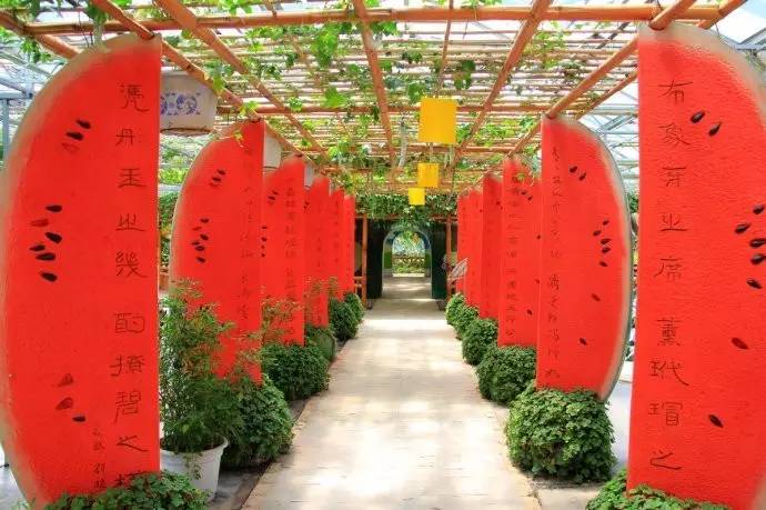 鍐滀紒杩愯惀鎬濊矾,鍐滀紒鐩存挱