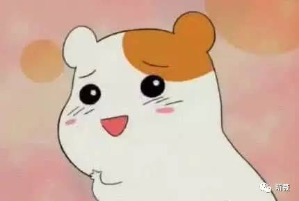 气死“日代子”！美衣海淘也有freestyle？文末福利不看后悔整个秋天！