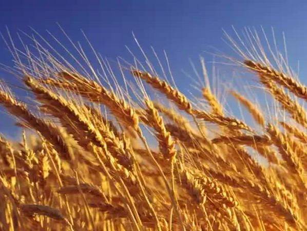 银行理财5%收益现在还能买么,哪个银行理财一年收益能达到4.7%