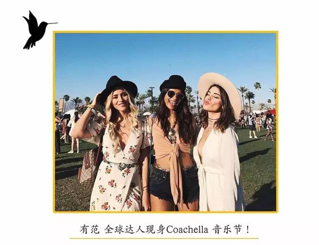 动物们开始工作,动物们开始冒险