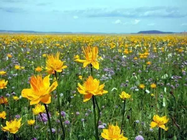 生酮多长时间后开始分解脂肪,生酮会促进脂肪分解吗