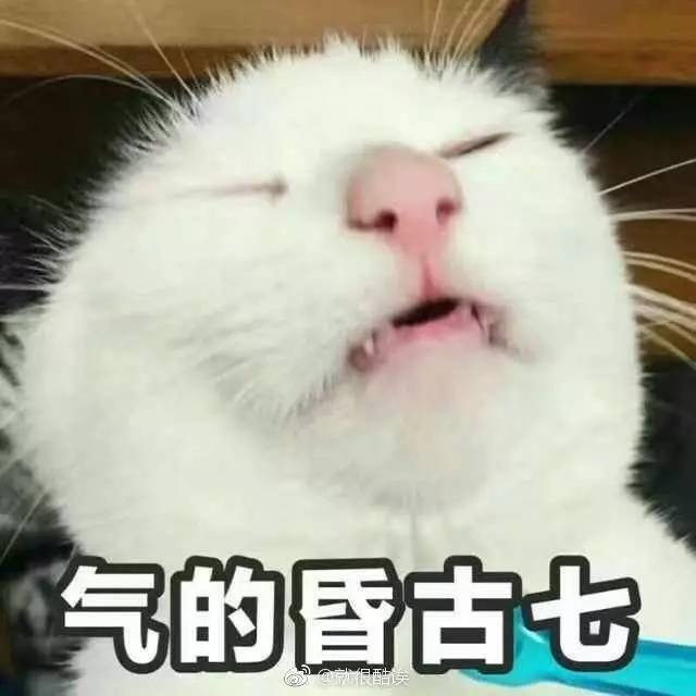 假冒注册商标罪的判决书,销售假冒注册商标罪最新判决书