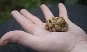 全球十大奇葩酒排行,最奇葩的啤酒有哪些