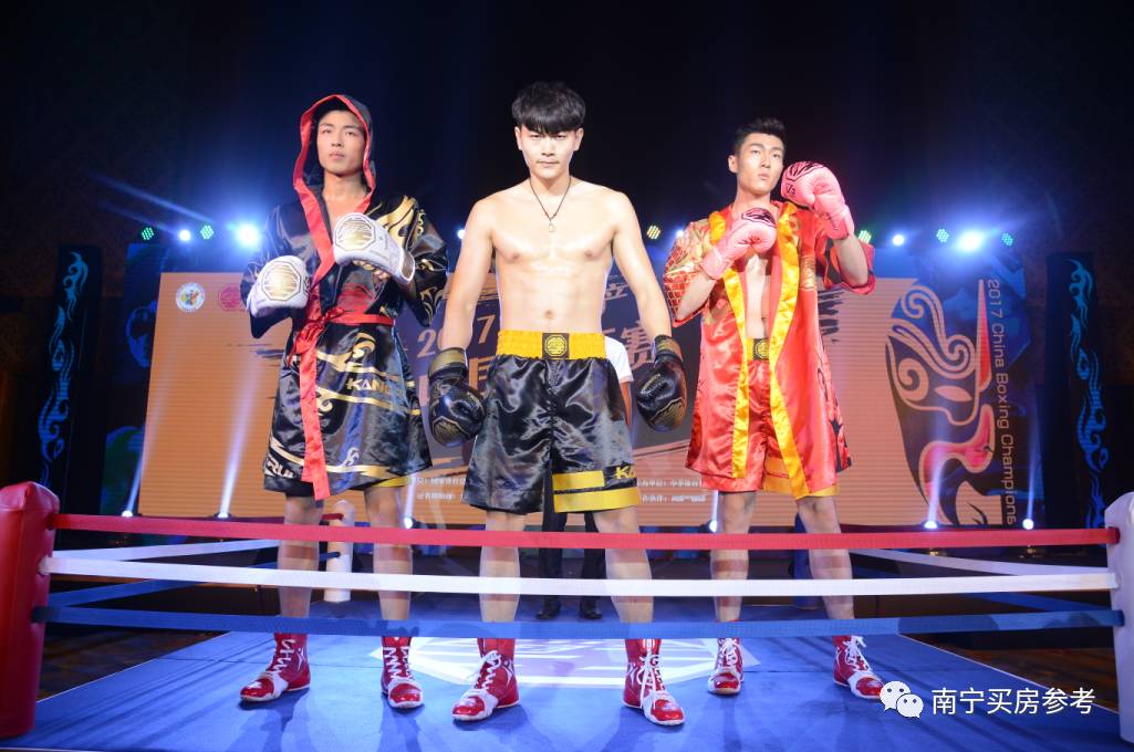 中国十大拳王争霸赛,中国10大拳王