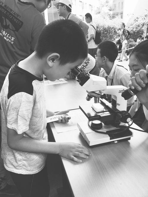 中国科学院公众科学日活动,中国科学院第20届公众科学日