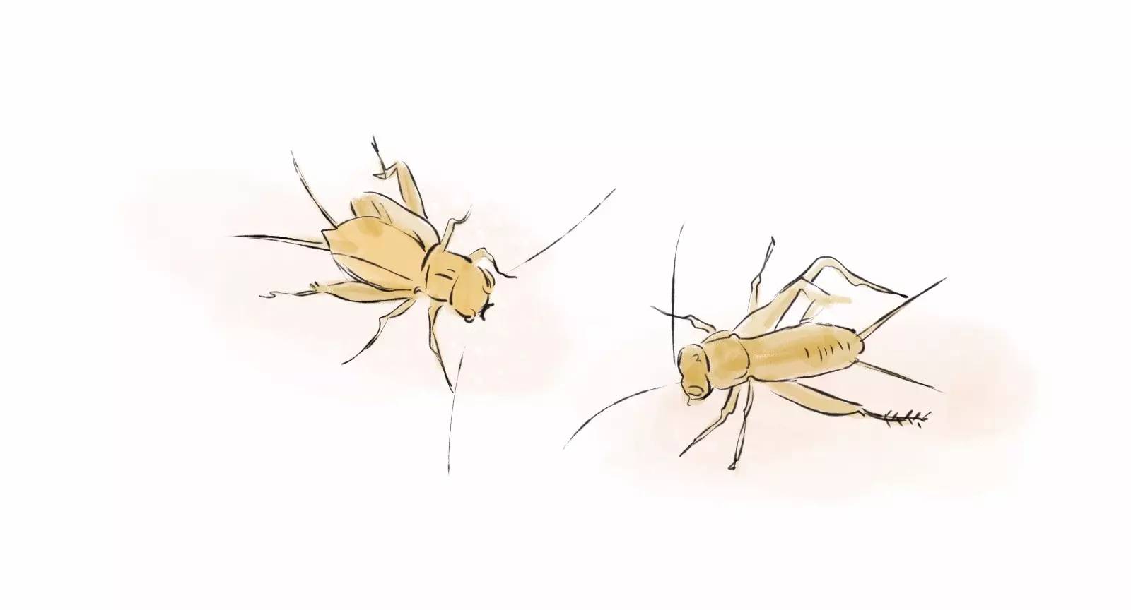 怀旧向手游好玩的推荐,怀旧向游戏系列