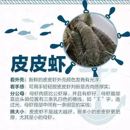 日照开海后什么时候买海鲜,日照开海首日海鲜