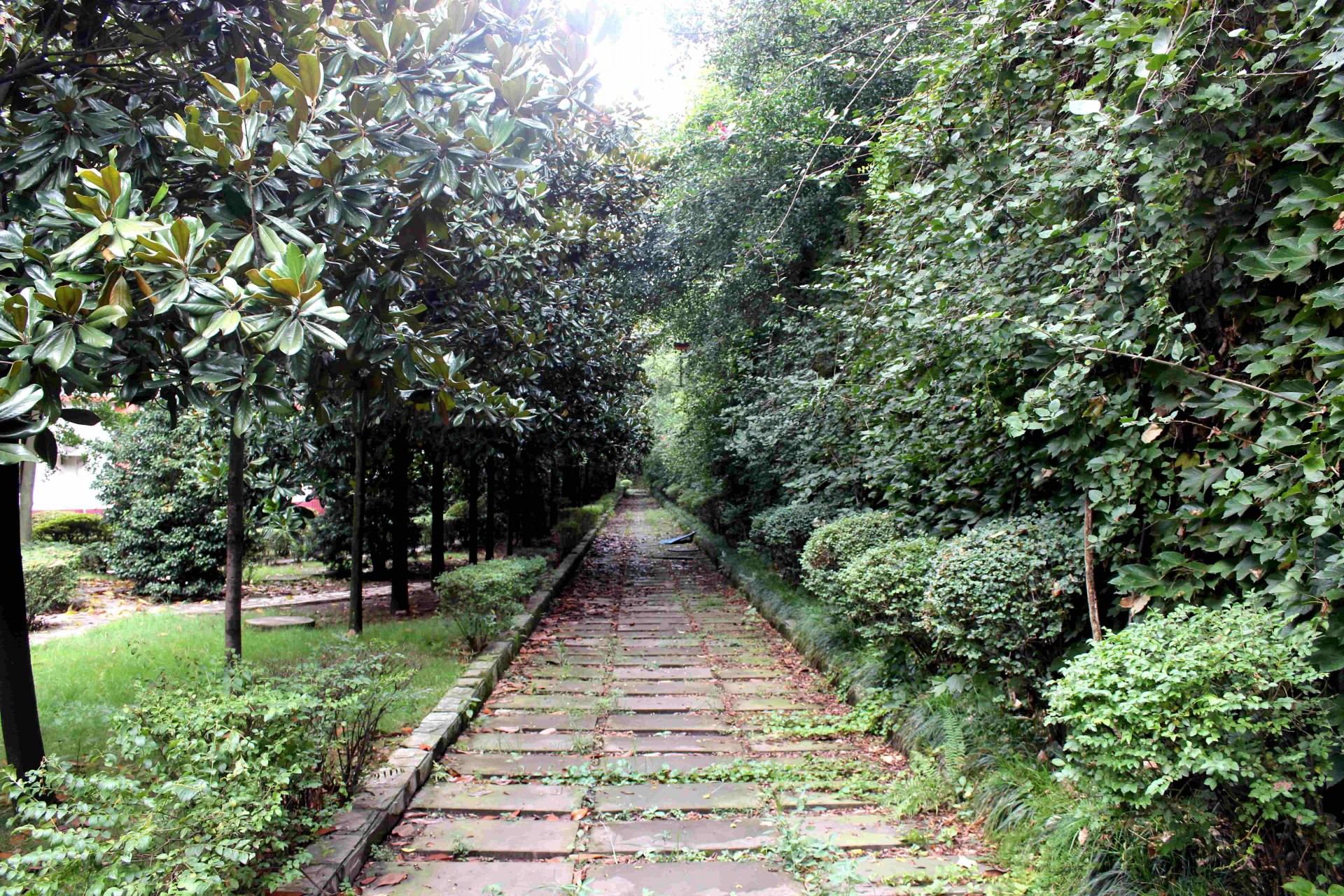 新宜宾三中,谢谢你三个字的歌词