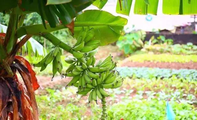 禅城小岛,禅城周边海边景点有哪些