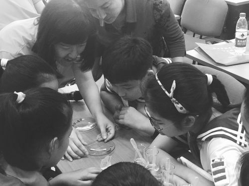 中国科学院公众科学日活动,中国科学院第20届公众科学日