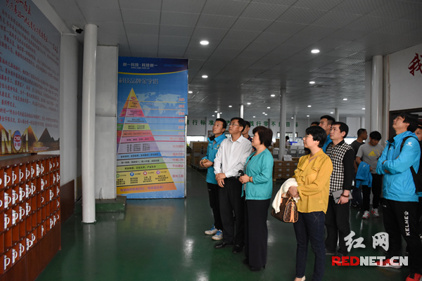 娄底市业余足球联赛,娄底业余足球队