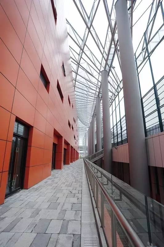 新静安体育中心空中球场,新静安体育中心体育馆