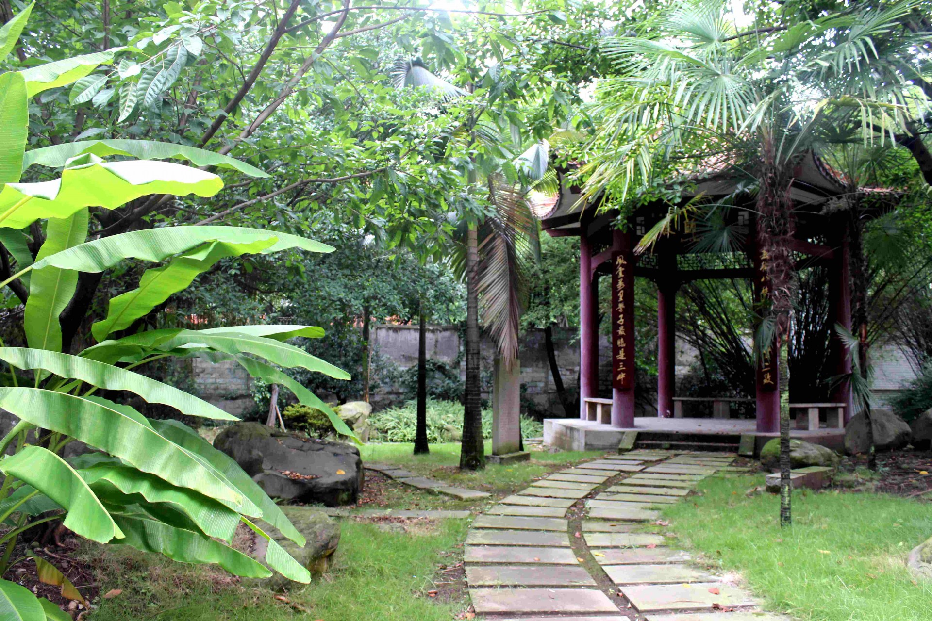 新宜宾三中,谢谢你三个字的歌词