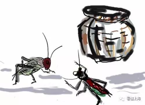 上海人休闲娱乐斗地主,上海人斗地主