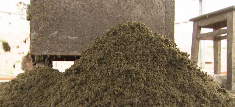 清理厕所大作战,猪粪自动清理