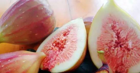 禅城小岛,禅城周边海边景点有哪些