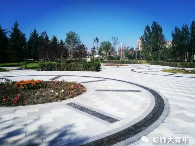 哈师大改造了吗,哈尔滨哈师大梦溪湖