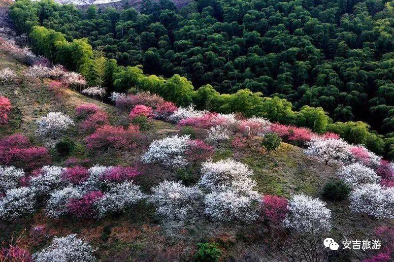 游玩中国大竹海,中国大竹海旅游