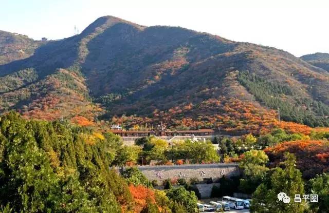 昌平约会公园,昌平万科悦荟约会