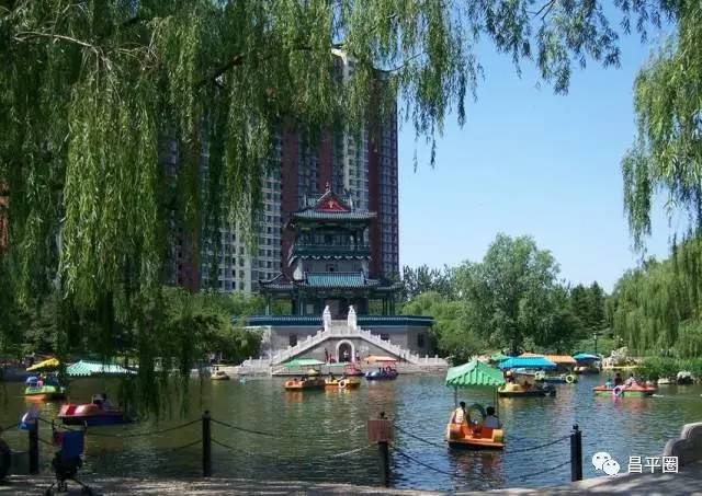 昌平约会公园,昌平万科悦荟约会