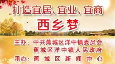 福建线面手工面,吃一碗苏式汤面