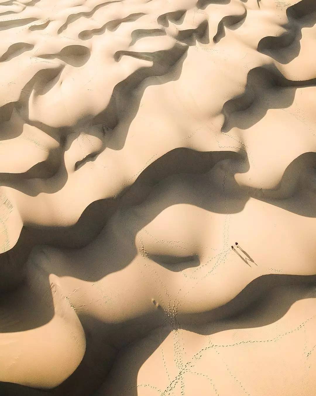 拍照技术都是怎么提高的,如何让自己的拍照技术变好