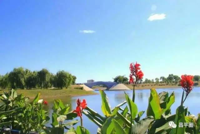 昌平约会公园,昌平万科悦荟约会