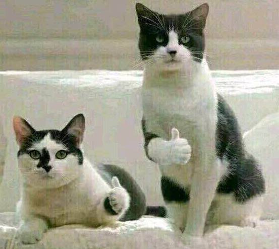 抓住暑假尾巴来一波,抓住暑假的尾巴来钓鱼