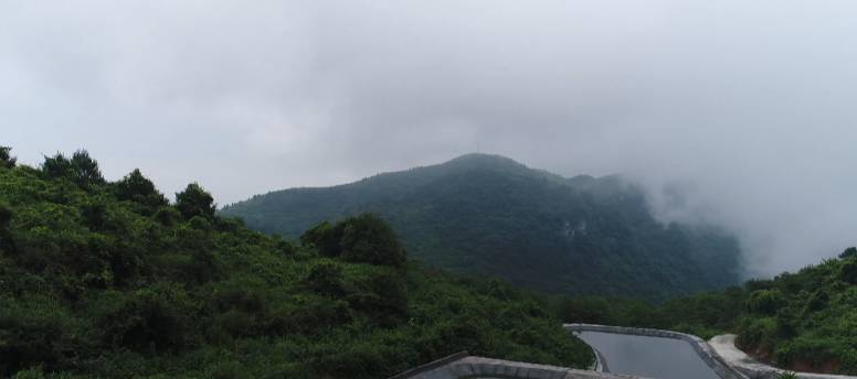 清理厕所大作战,猪粪自动清理