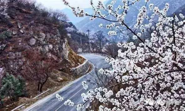 昌平约会公园,昌平万科悦荟约会