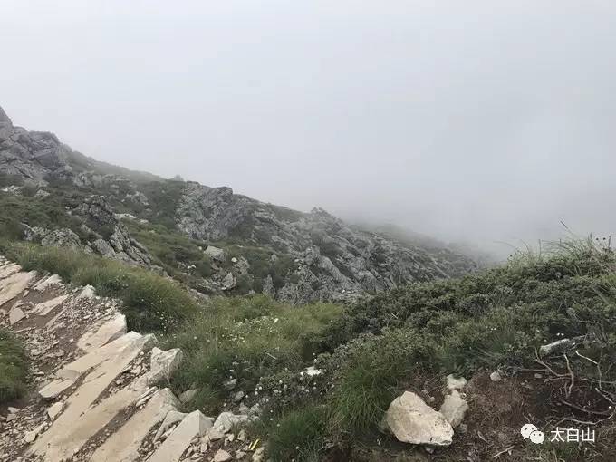 太白山游记下集视频,太白山一日游游记400字