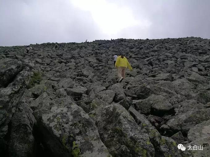 太白山游记下集视频,太白山一日游游记400字
