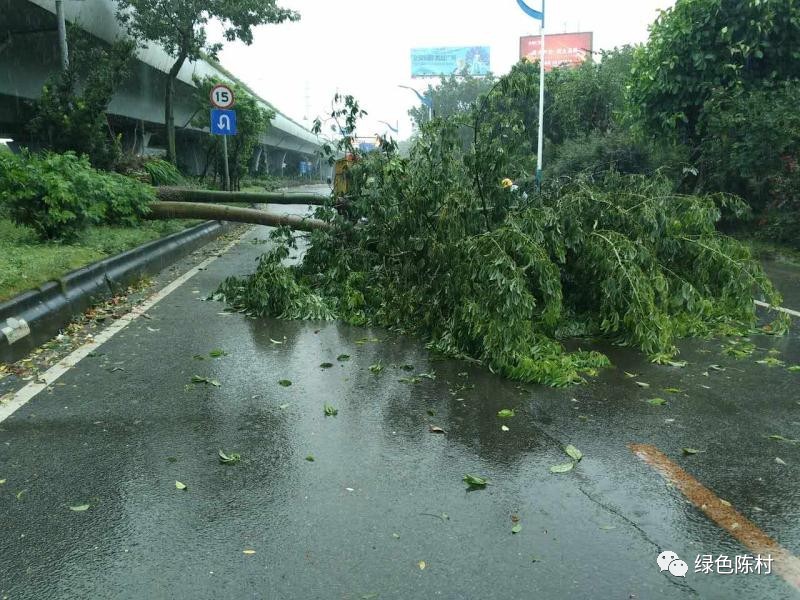 台风天鸽来袭广州 (广东台风天鸽路径)