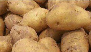 宁夏必买的十大特产排名前十,g20峰会中国国宴菜