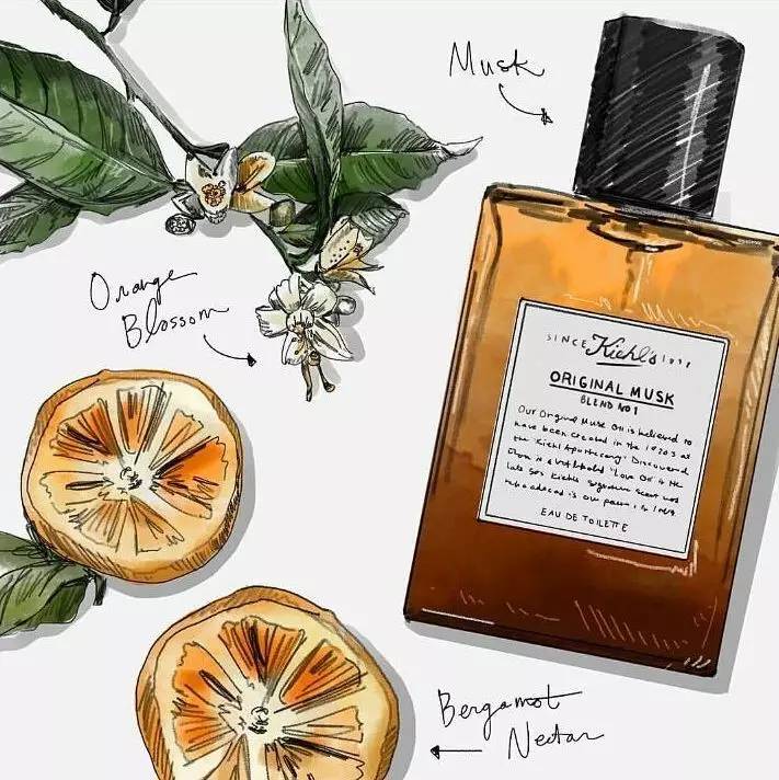 「这个香水有麝香用了会流产的！」｜拜托，别再闹这种国际笑话了好吗？