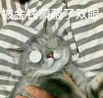 【花妹陪你侃】上市公司炒股能赚十几亿股民再不赚钱没天理