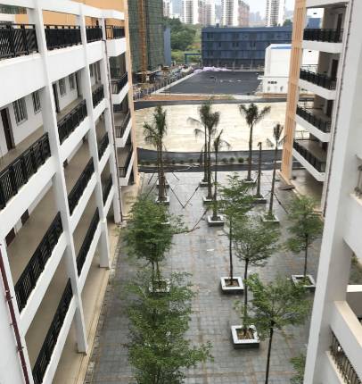 嗨青秀｜青秀区这2所新学校即将开学！校园美呆了！