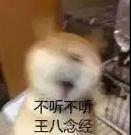 【花妹陪你侃】上市公司炒股能赚十几亿股民再不赚钱没天理