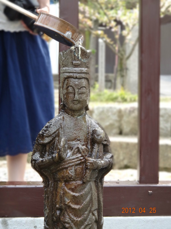 7天日本自由行多少钱,日本七天游自由行