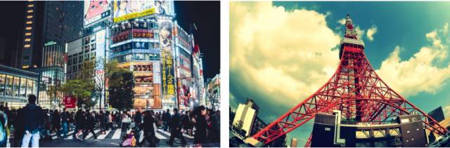 还剩四个多月我有必要告诉你…….