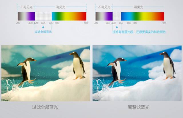 一个免费的新手运营神器,90%的人不知道的运营工具