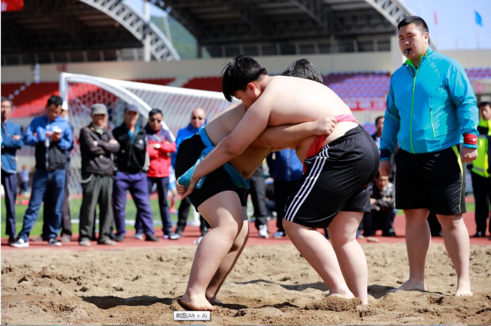 省运会冬季项目比赛,省运会项目赛事