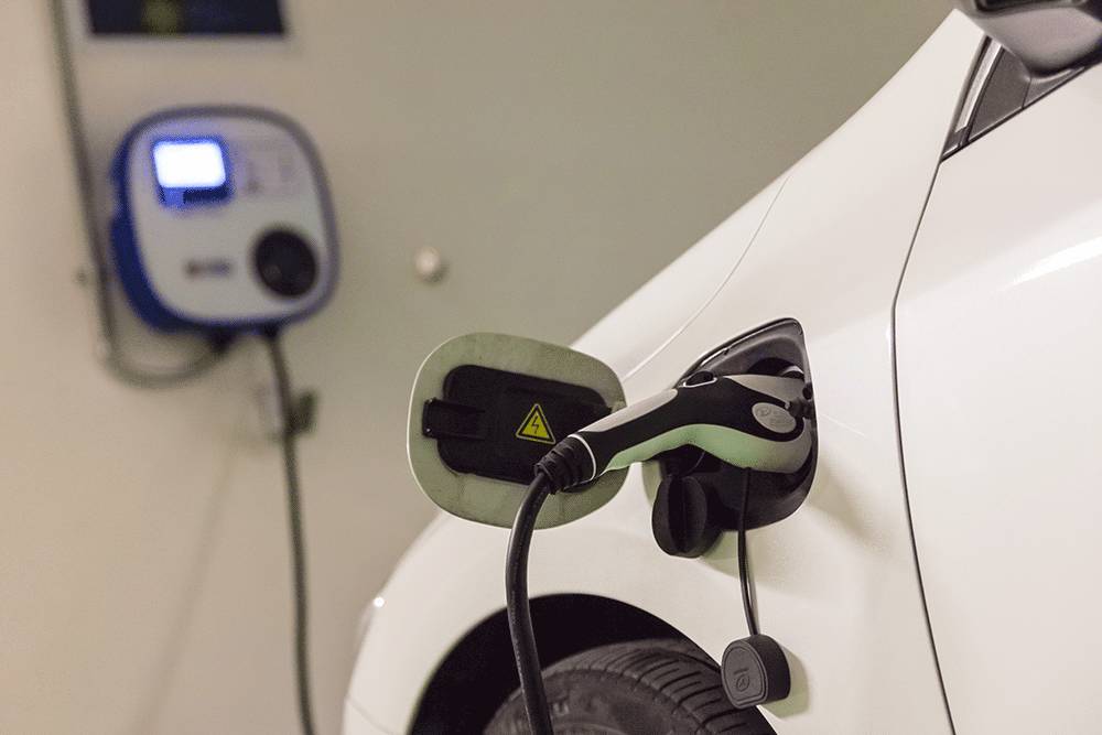 免费的午餐都有什么,免费的午餐真的是又香又好吃